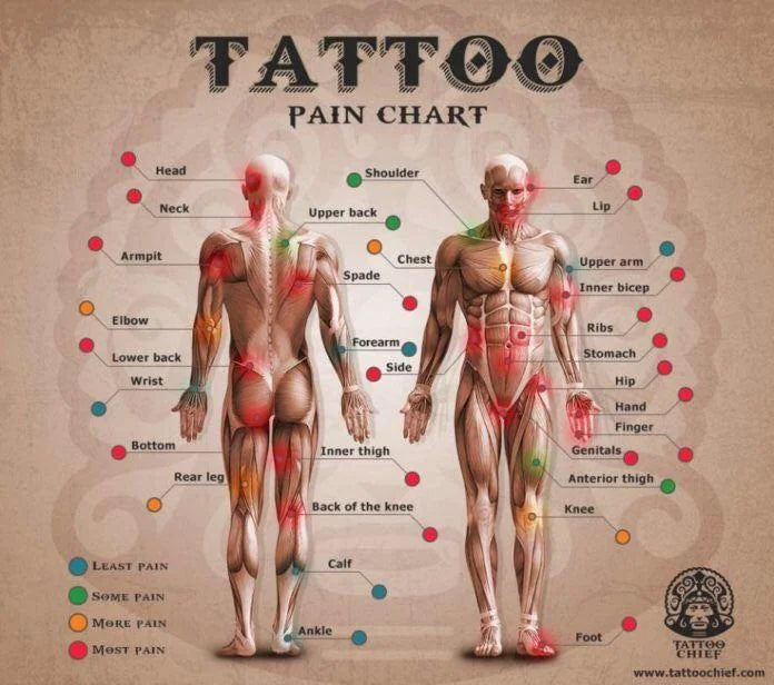 Does Getting a Tattoo Hurt? Tattoo Pain Explained (2026 Guide)